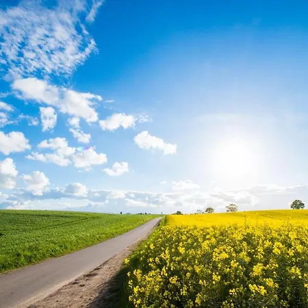 Luettje Glueck Boexlund